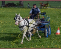 1POSIEUX 0161